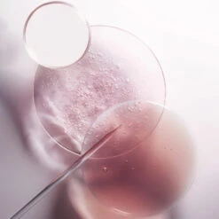 Recharge Bain Riche Cheveux Normaux à épais Chroma Absolu Kérastase 500ML -Kérastase recharge bain riche cheveux normaux a epais chroma absolu kerastase 500ml 6